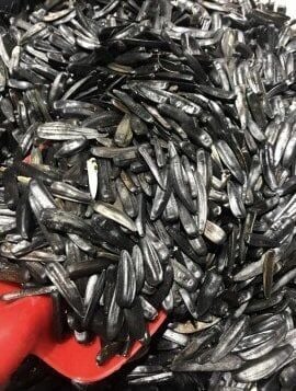 Kars Siyah Çekirdek (Sımışka)  1000 g