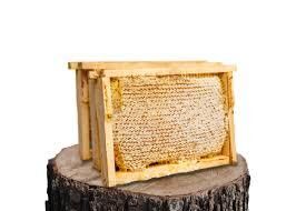 Kars Doğal Petek Çiçek Balı 1600 g