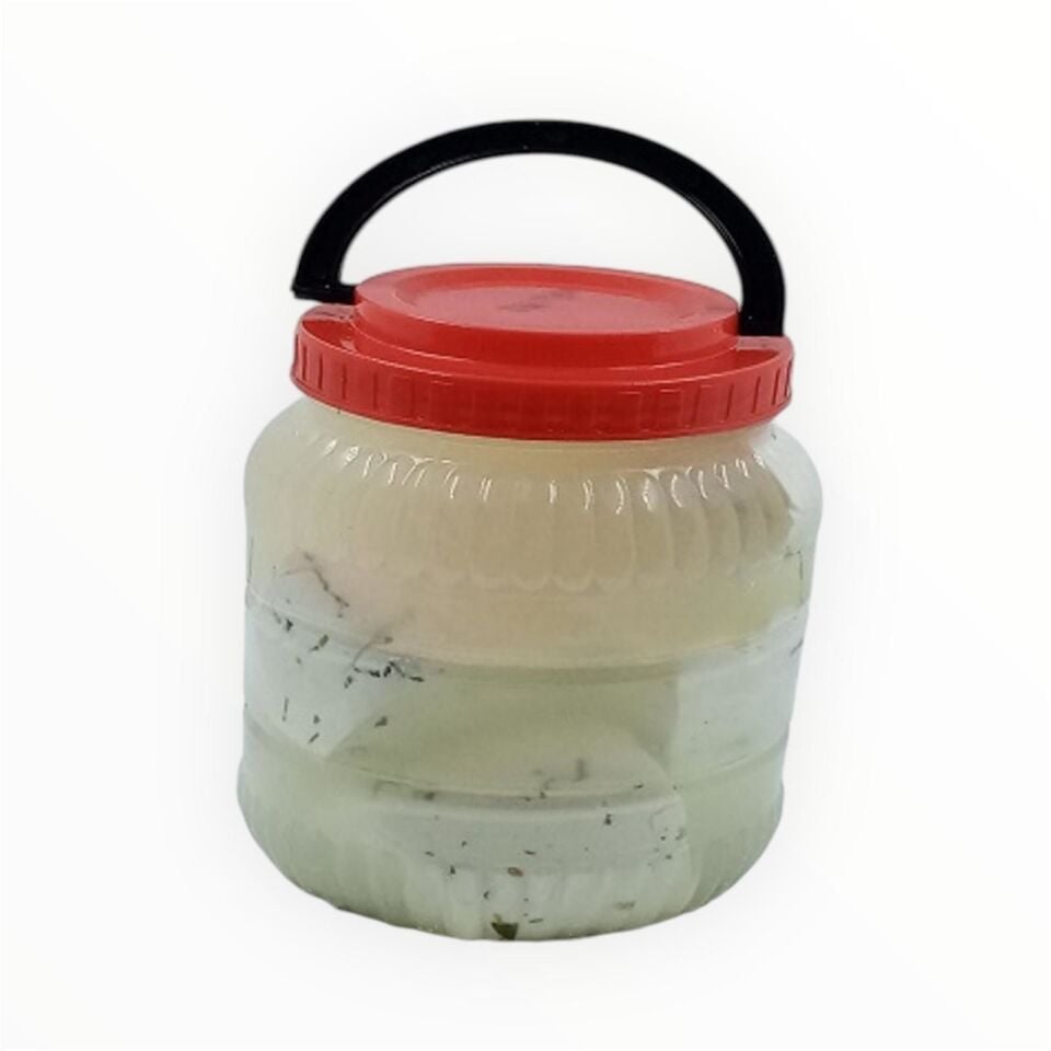 OTLU PEYNİR 1 KG BİDON