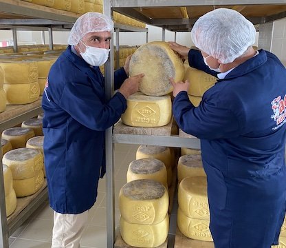 Kars Kaşarı Üretimi